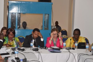 Pic 1- AU side event