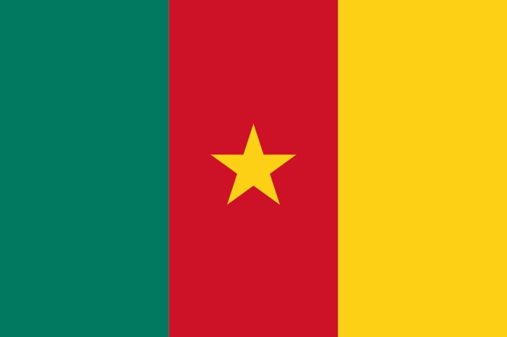 Cameroon: Multilateral action is urgently needed