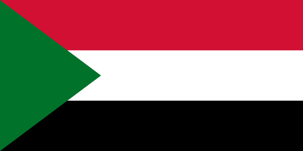 Sudan: civil society calls for a UN Human Rights Council special session on El Fasher