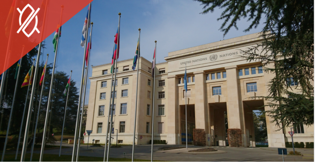 Reflections on the 53rd session of the UN Human Rights Council