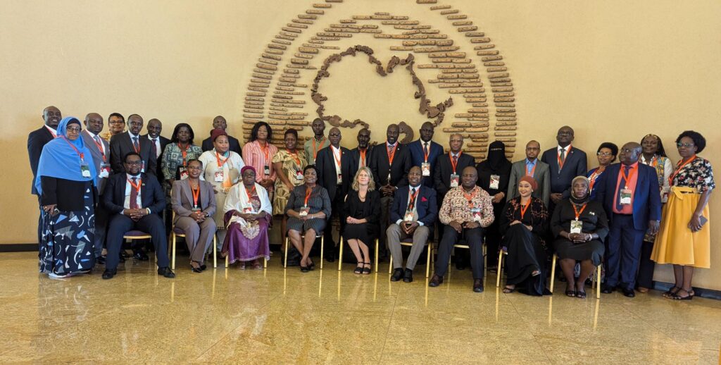 Press Release: Strategic Dialogues with East and Horn of Africa Human Rights Defenders and UN &#038; African Commission Representatives on Human Rights Protection