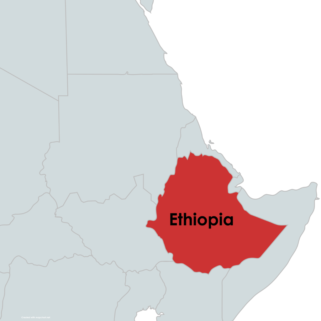 Éthiopie : Défendre et renforcer le mouvement des droits de l&#8217;homme contre son érosion!